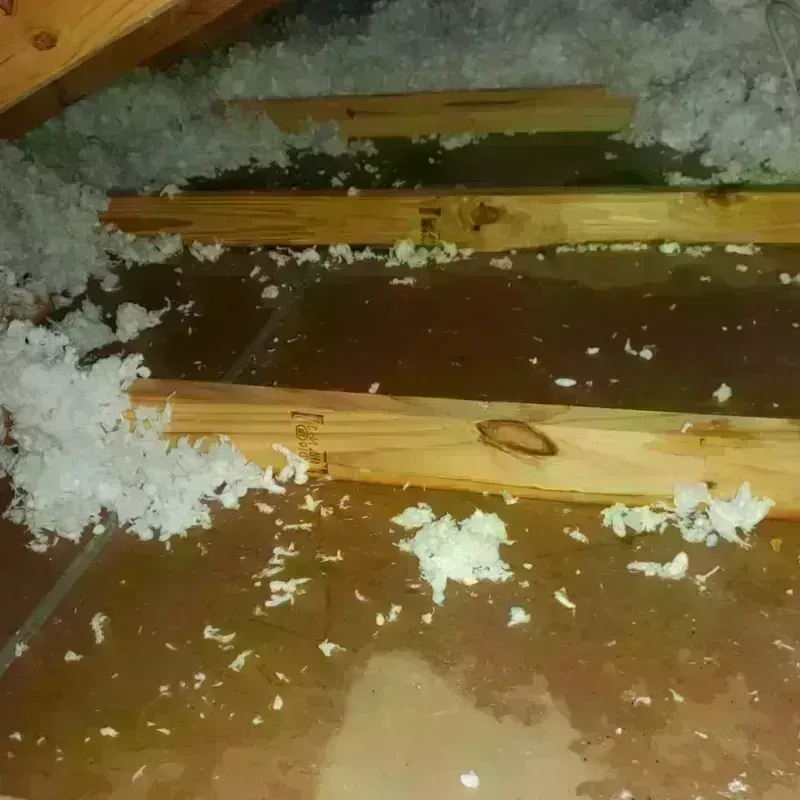 Attic Water Damage in Mason County, WA