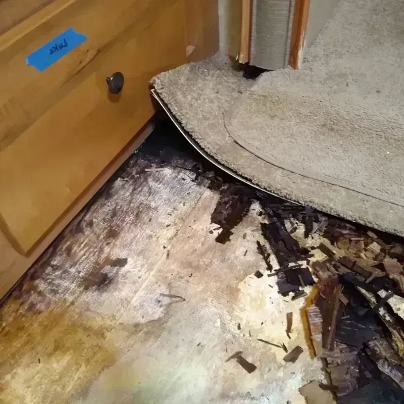 Wood Floor Water Damage in Mason County, WA